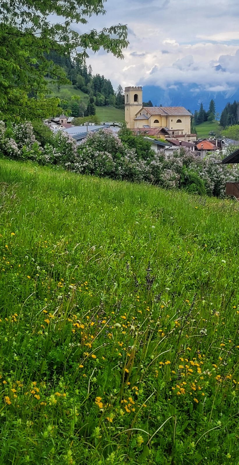 Miniatura foto 3