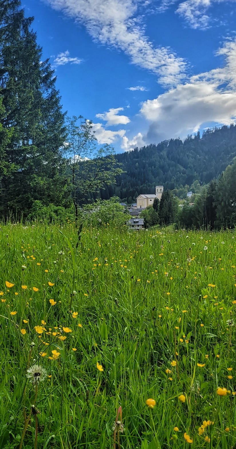 Foto di Pozzale 1
