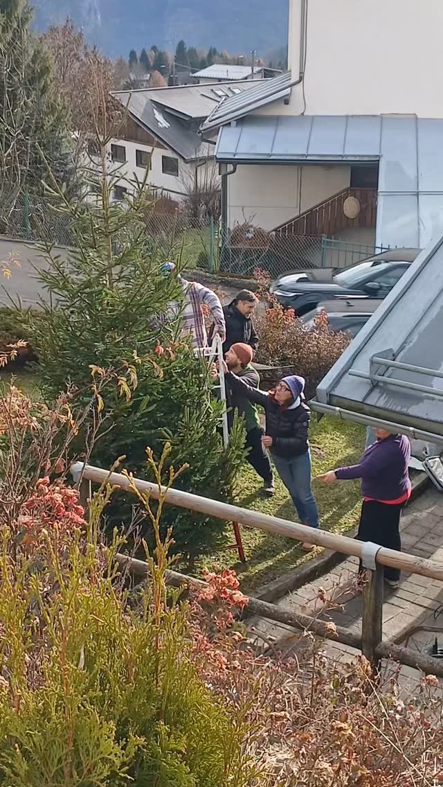 E fù così che anche quest anno lo spirito del Natale, dopo Pieve, Tai, e Sottocastello giunse a Pozzale di Cadore... e noi lo condividiamo anche con @associazionepronebbiu per la loro accensione e magia di domani!

Grazie a tutti i volontari che hanno reso possibile tutto questo ❤️ #pozzalevive